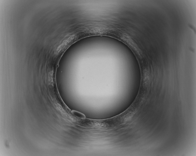 X0000101680585200807171413