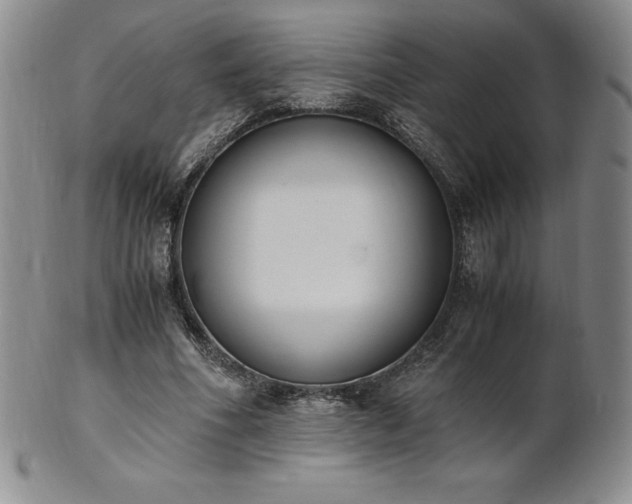 X0000101680586200807171413