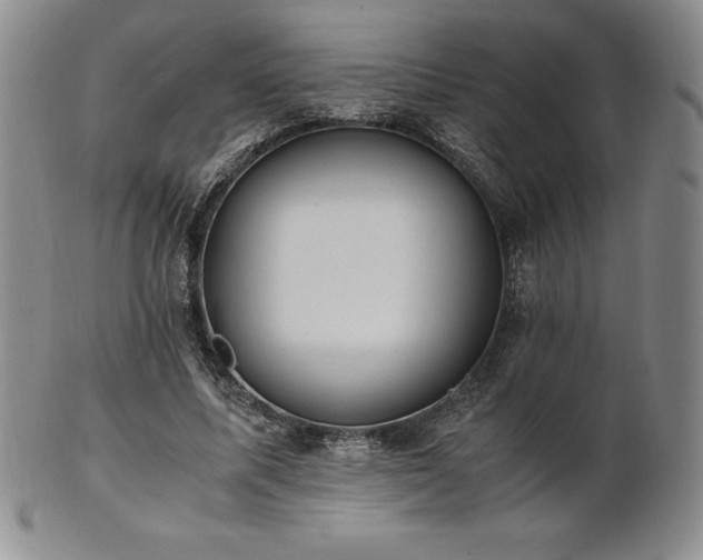 X0000101680587200807171413