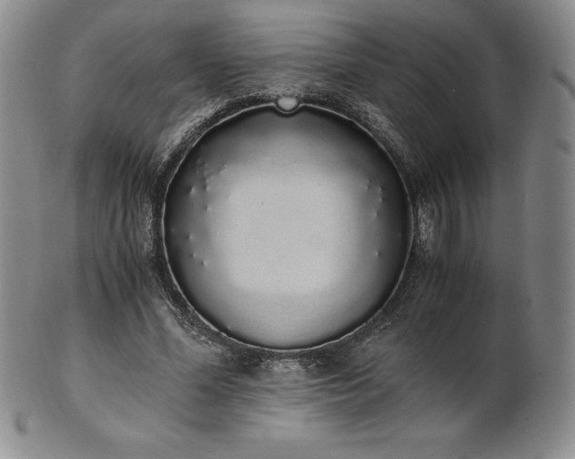 X0000101680588200807171413