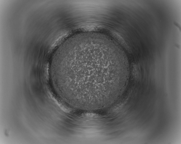 X0000101680590200807171413