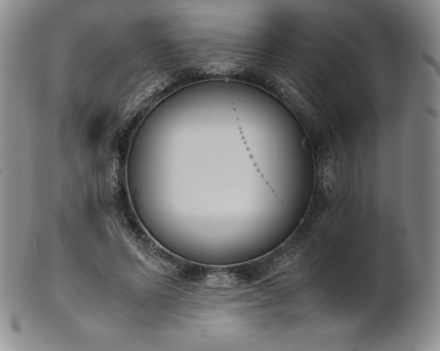 X0000101680591200807171413