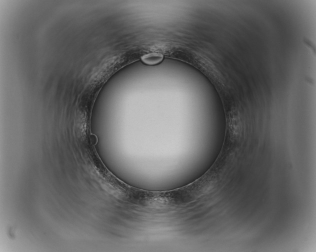 X0000101680593200807171413