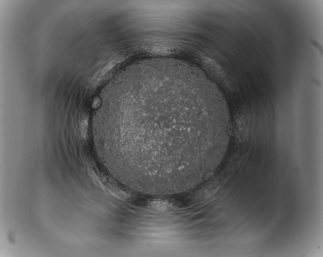 X0000101680596200807171413