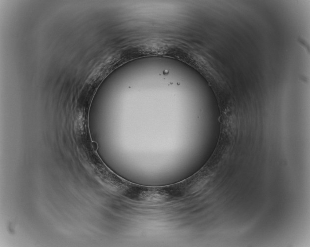 X0000101680597200807171413