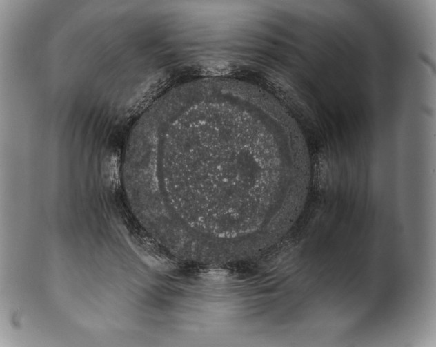 X0000101680598200807171413