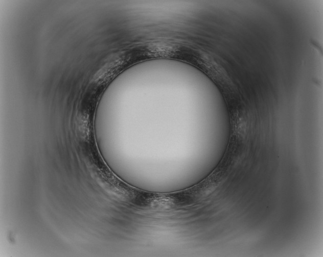 X0000101680599200807171413