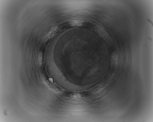 X0000101680600200807171413