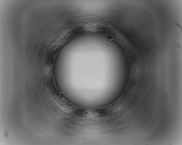 X0000101680601200807171413