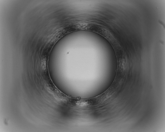 X0000101680602200807171413