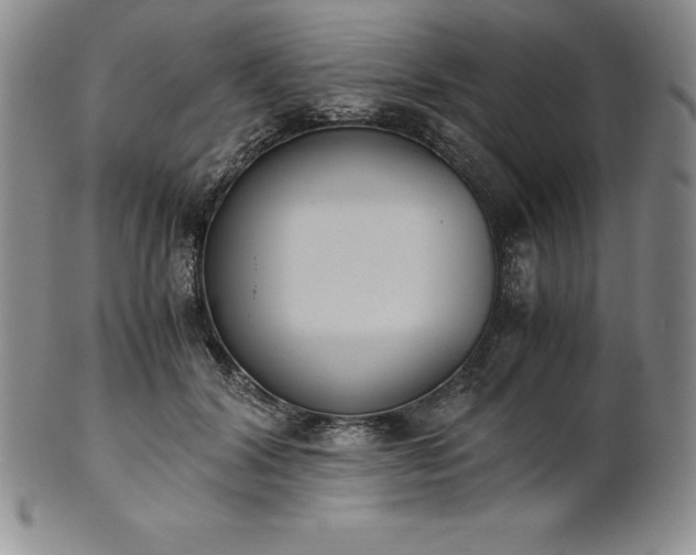 X0000101680604200807171413