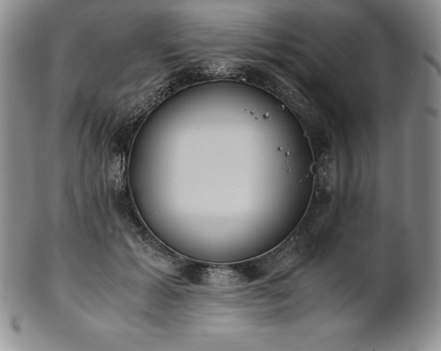 X0000101680605200807171413