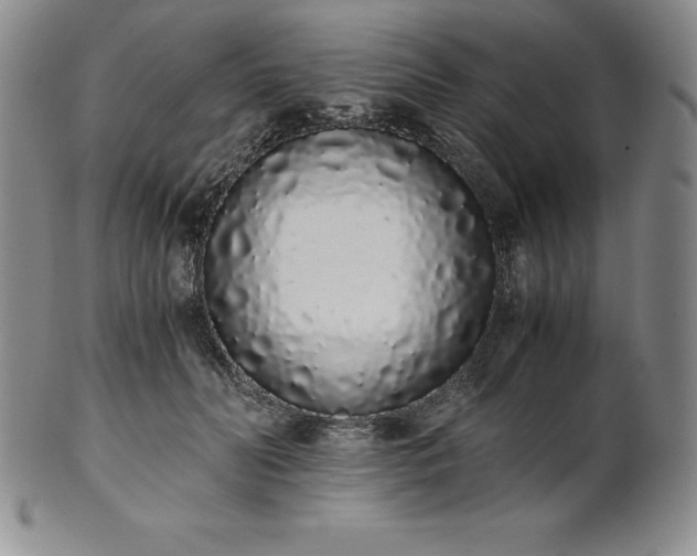 X0000101680606200807171413