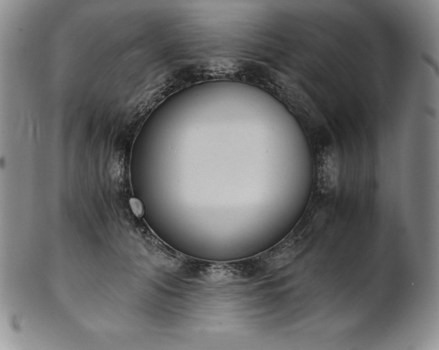 X0000101680608200807171413