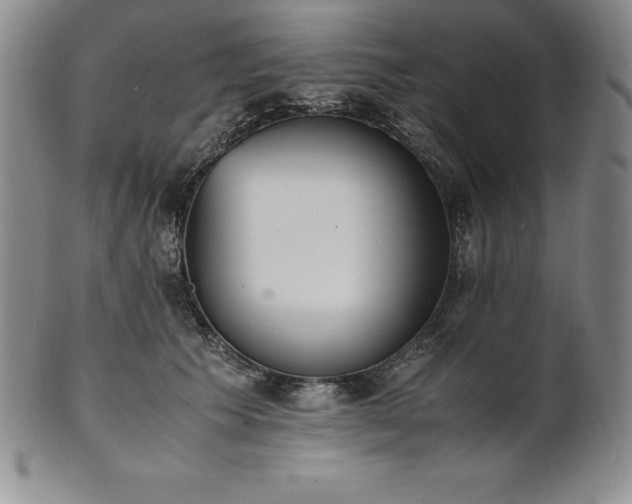 X0000101680609200807171413