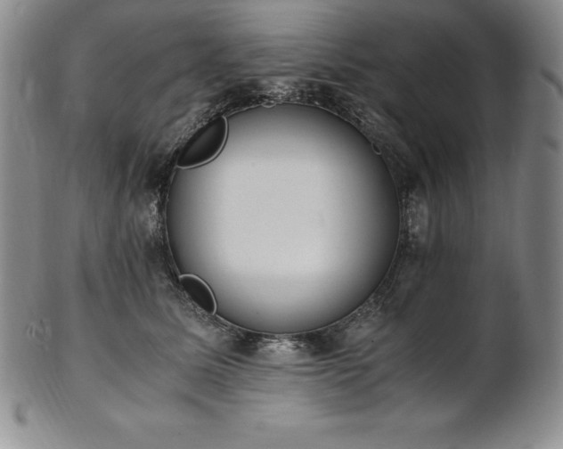 X0000101680611200807171413