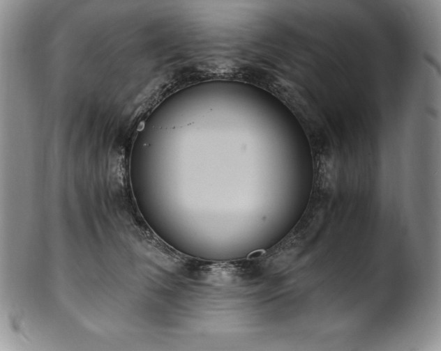 X0000101680612200807171413