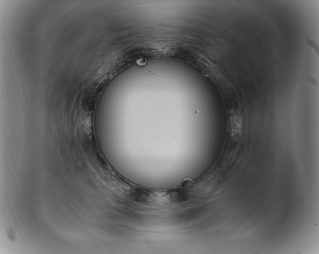 X0000101680613200807171413