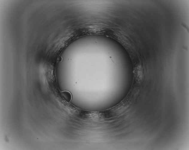 X0000101680615200807171413