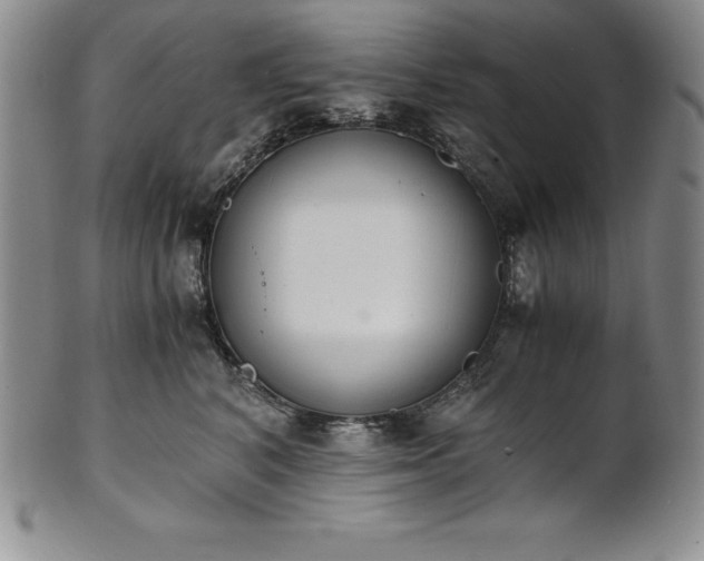 X0000101680616200807171413