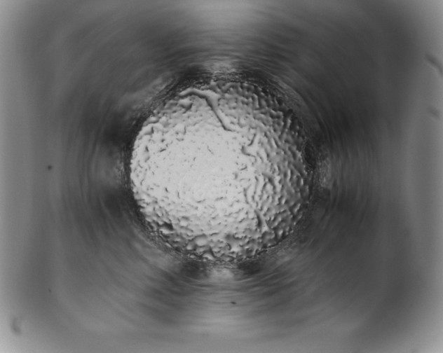 X0000101680618200807171413