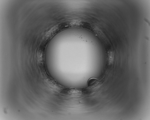 X0000101680619200807171413