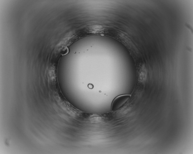 X0000101680620200807171413