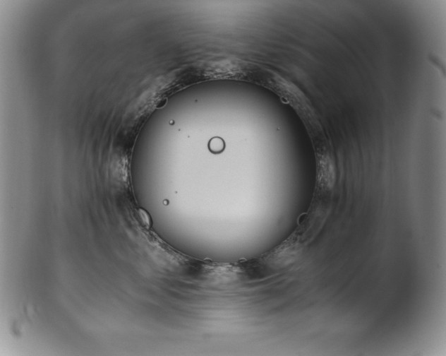 X0000101680621200807171413