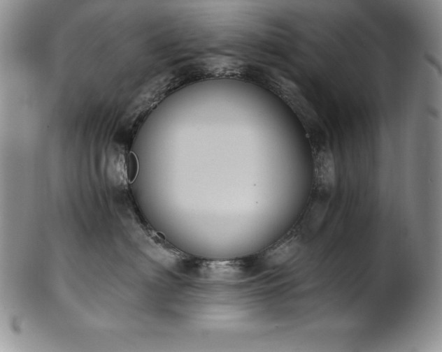 X0000101680622200807171413