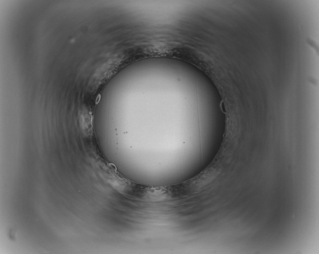 X0000101680624200807171413