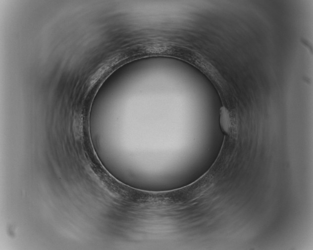 X0000101680626200807171412