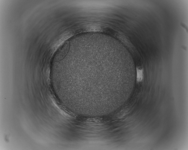 X0000101680627200807171412