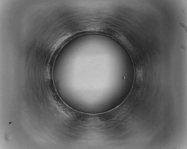 X0000101680628200807171412