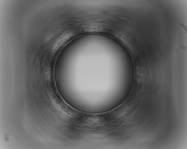 X0000101680631200807171412