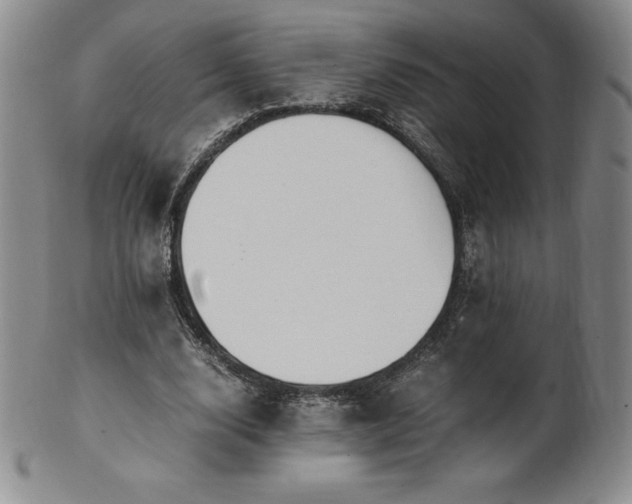 X0000101680632200807171412