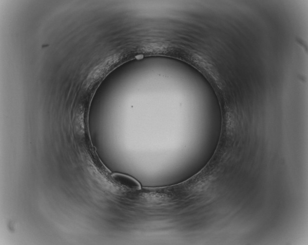 X0000101680633200807171412