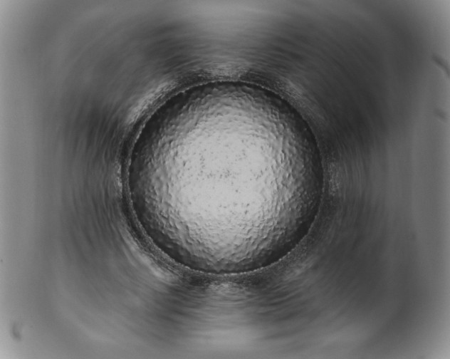 X0000101680634200807171412