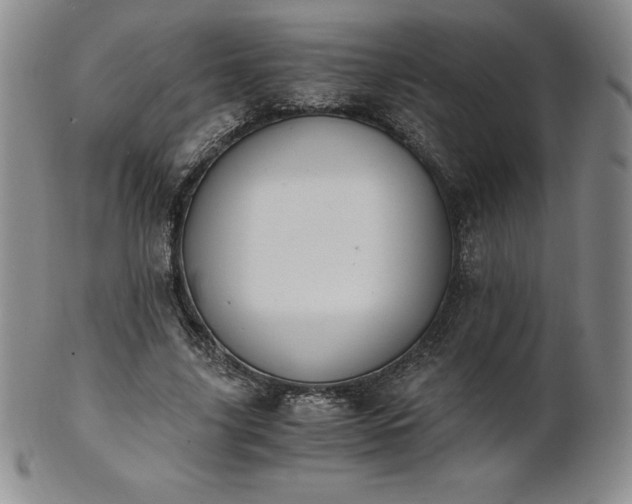 X0000101680635200807171412