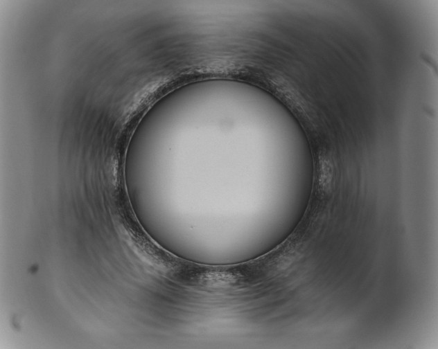 X0000101680636200807171412