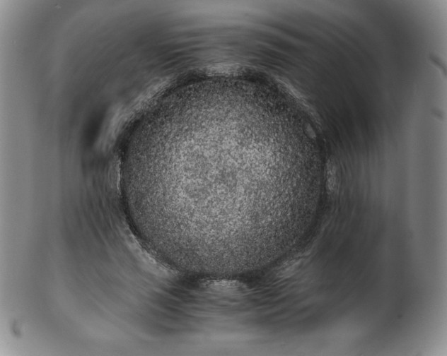 X0000101680637200807171412