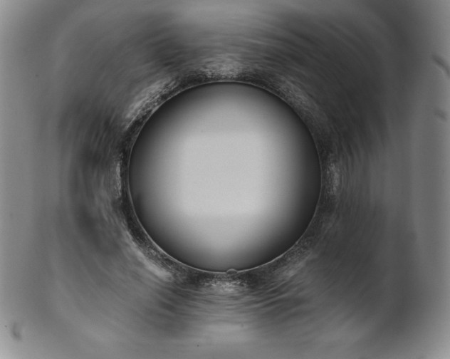 X0000101680638200807171412