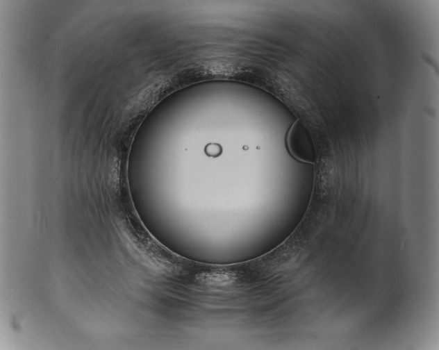 X0000101680639200807171412