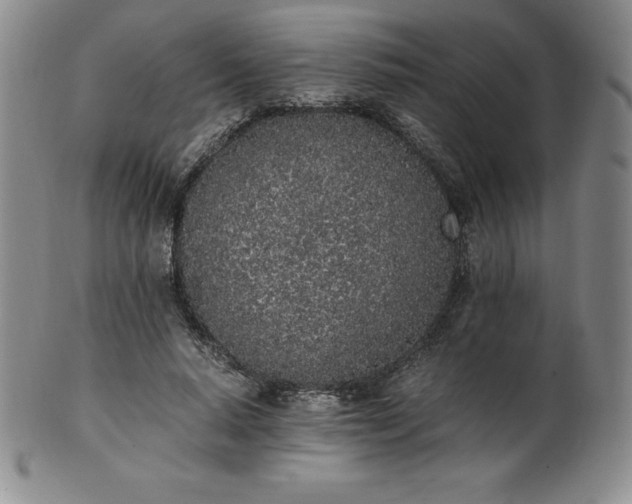 X0000101680640200807171412