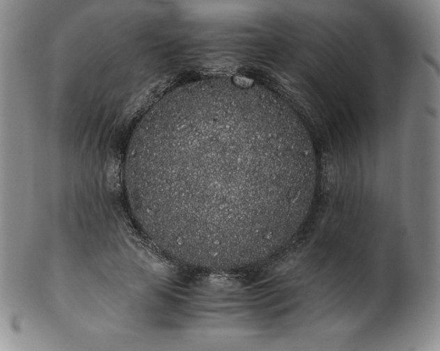 X0000101680641200807171412