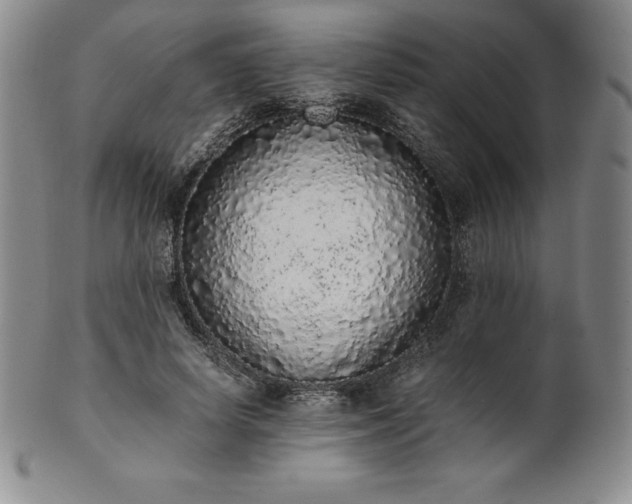 X0000101680642200807171412