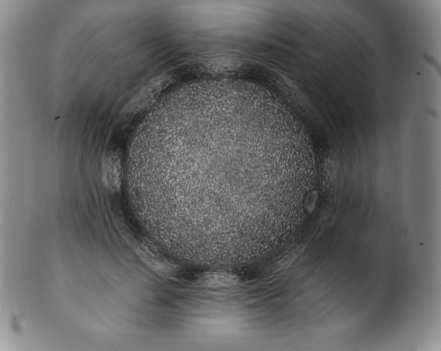 X0000101680644200807171412