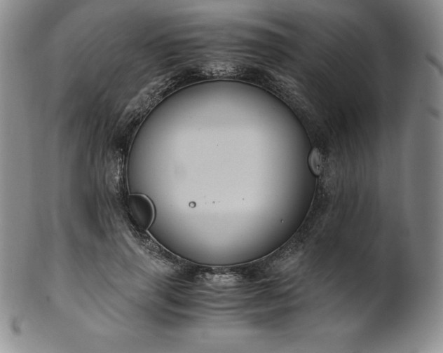 X0000101680645200807171412