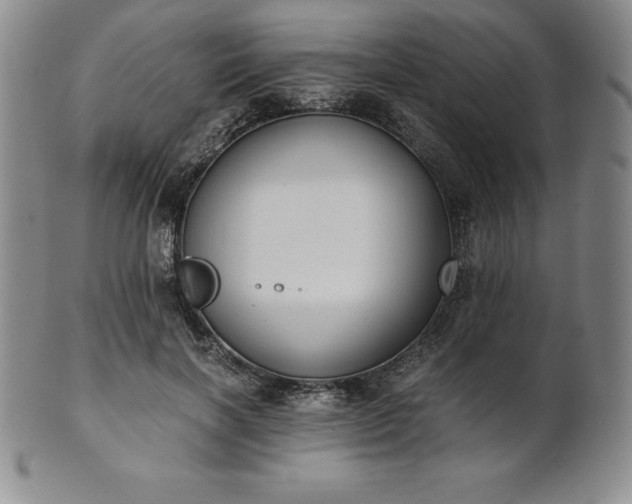 X0000101680646200807171412