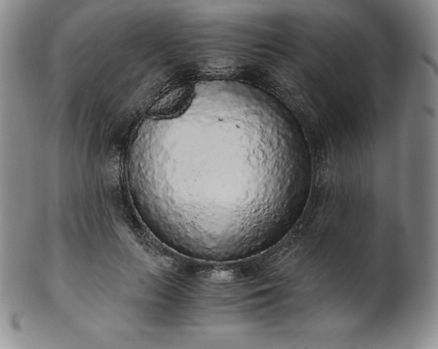 X0000101680647200807171412