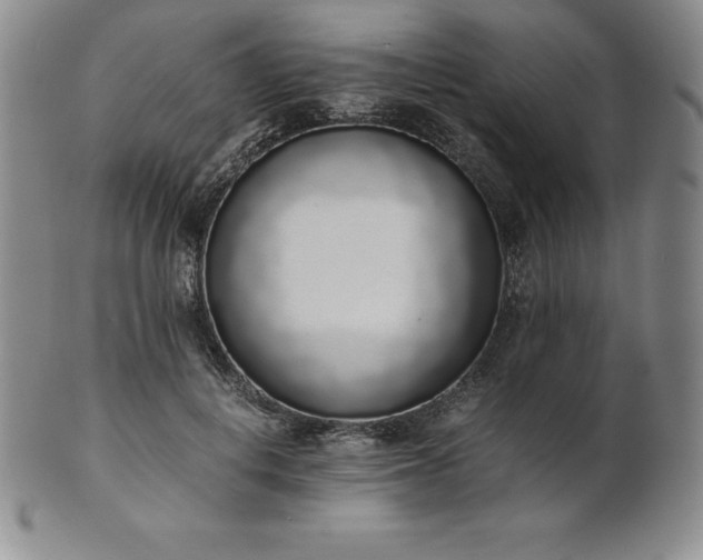 X0000101680648200807171412